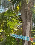 Sea Orchid a 2-2 house, located on Green Turtle Cay Abaco Bahamas