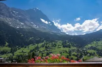 Jungfrau Lodge, Swiss Mountain Hotel - วิว