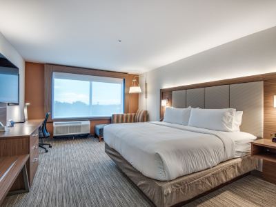 Holiday Inn Express & Suites DALLAS NORTH - ADDISON by IHG
