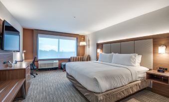Holiday Inn Express & Suites DALLAS NORTH - ADDISON by IHG