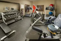 Holiday Inn Express & Suites DFW AIRPORT - GRAPEVINE by IHG - Gym
