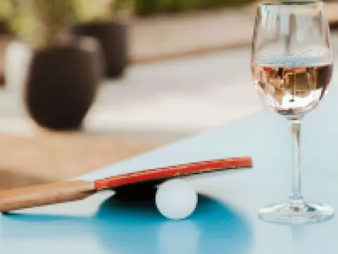 Pullman Toulouse Airport