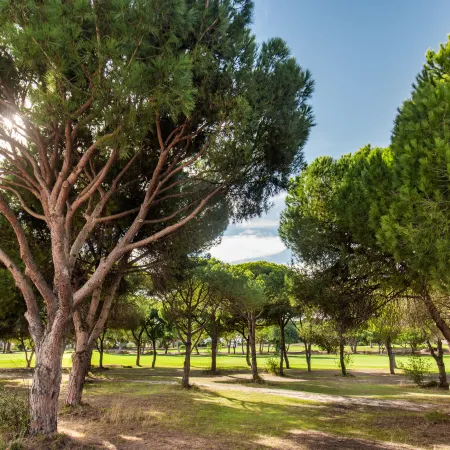 Old Village Area and Close to All Amenities, Overlooking Golf Course