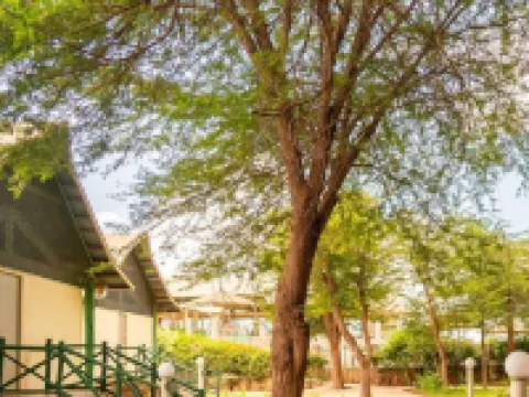 Manyatta Camp Hotels in Voi