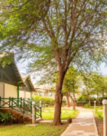 Manyatta Camp Hotel di Voi