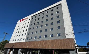 ibis Pelotas