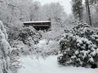 APPsolute Heaven- A 4 Season Mountain Retreat