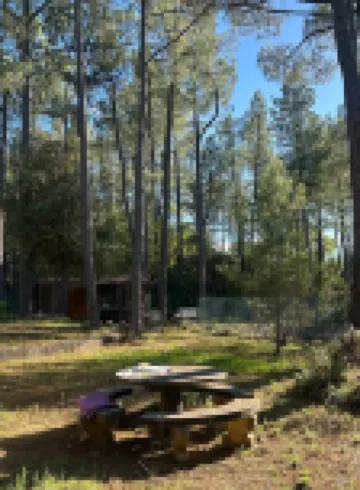 The Chalet VertVentoux - Charming Wooden Chalet for a Cozy and Relaxing Getaway
