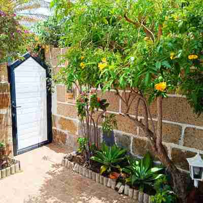 Casa Sarita - Well Maintained House in Chayofa with Pool Hotel Exterior
