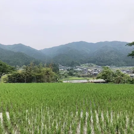 HANAMIDORI opparanoyado