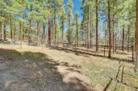 Escape to Alpine! Outstanding Cabin w/ Deck & Yard - Landsted