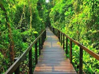 Villa 4 - Amazing 2 Bed Villa with Private Garden Hotels in Punta Uva
