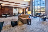 Staybridge Suites COLORADO SPRINGS NORTH by IHG - Spa