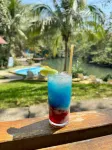 旅行者綠洲旅館-青年旅舍 - 酒吧