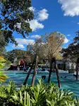 Edgecliff Lodge Motel