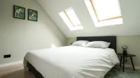 Pet-friendly Stay in Hamont-achel - appartements de vacances