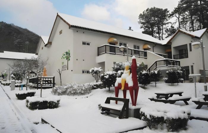 Meta Pension, DamYang