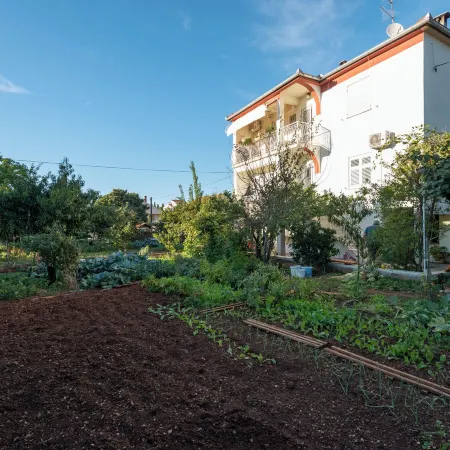 The Apartments Consists of Two Bedrooms, a Bathroom, a Kitchen and a Living Room