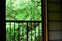 Kurokawa Onsen Oku No Yu - con vistas a la montaña