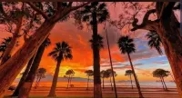 Sunset Boulevard Rooms - 2-Star