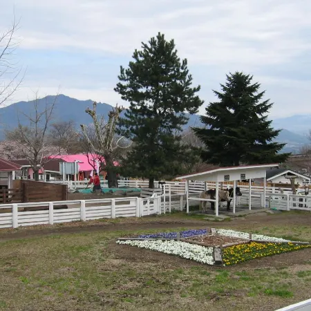 Matsunoi