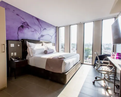 HS Hotsson Cdmx Condesa Sur Hotels near Chapultepec Forest