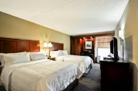 Hampton Inn Detroit/Northville (Farmington Hills Area) - piscina