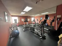 Holiday Inn Express FORSYTH by IHG - Kuntosalit