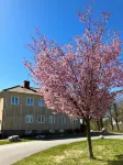 Partille Vandrarhem - Hostels