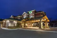 Black Fox Lodge Pigeon Forge, Tapestry Collection by Hilton - Bar