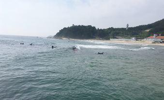 Yangyang Fun Surf Guest House