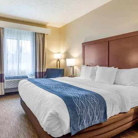 Comfort Inn Rockford Near Casino District