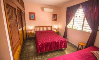 Armando's Hostel House, Room 5, Very Close to El Malecon