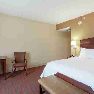 Hampton Inn & Suites Port Richey Rooms