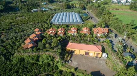 Jeju Jungmun Westie House Pension Отели рядом с достопримечательностью «Bonte Museum»