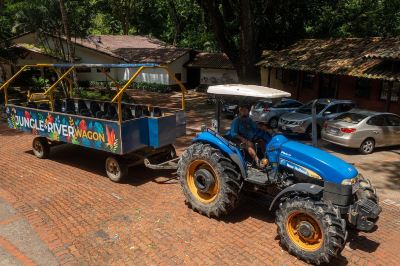 Public Areas Villa Lapas Jungle Village Photo