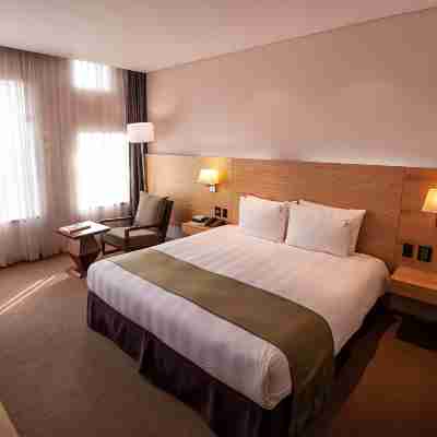 ホリデイ・イン 光州 IHG ホテル Rooms