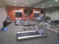 Holiday Inn Express & Suites VIDOR SOUTH by IHG - Gym