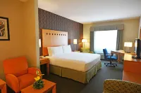 Holiday Inn Express & Suites MONTERREY AEROPUERTO by IHG - baignoire