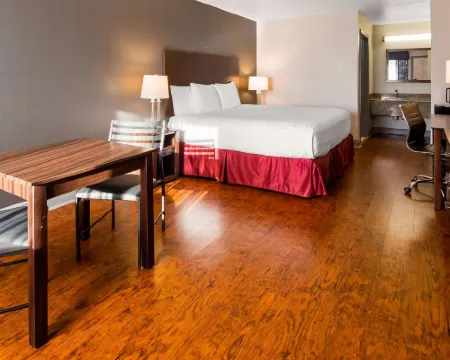 SureStay Plus Hotel by Best Western Hammond Hotels in Hammond