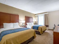 Comfort Inn Indianapolis North - Carmel Hotels in Carmel