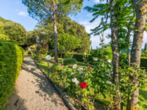 Giuggiolo - Giuggioli 1