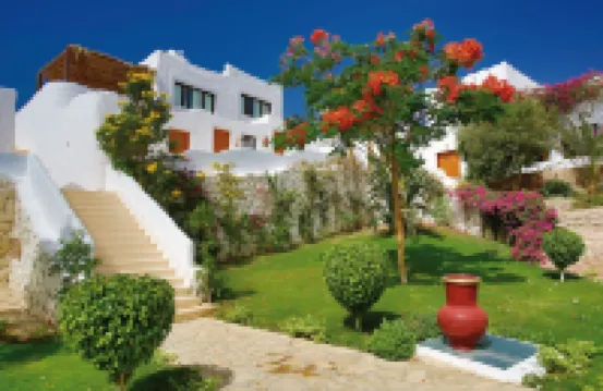 Sharm Club Beach Resort Hotels near Mustafa Mosque