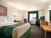 Travelodge by Wyndham Cheyenne Hotels in Cheyenne