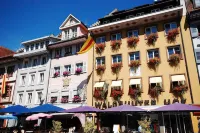 Waldshuter Hof Hotels in Eggingen