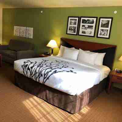 Sleep Inn & Suites Rooms