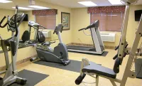 AmericInn by Wyndham Appleton North/Little Chute - Phòng Gym