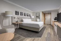 Hilton Garden Inn Chattanooga Downtown Hotels near Bluff View Art District