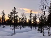 Kuukkeli Log Houses Aurora- Secret Cabin