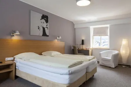 Hôtel - Restaurant " Victor Hugo" Отели в г. Вианден